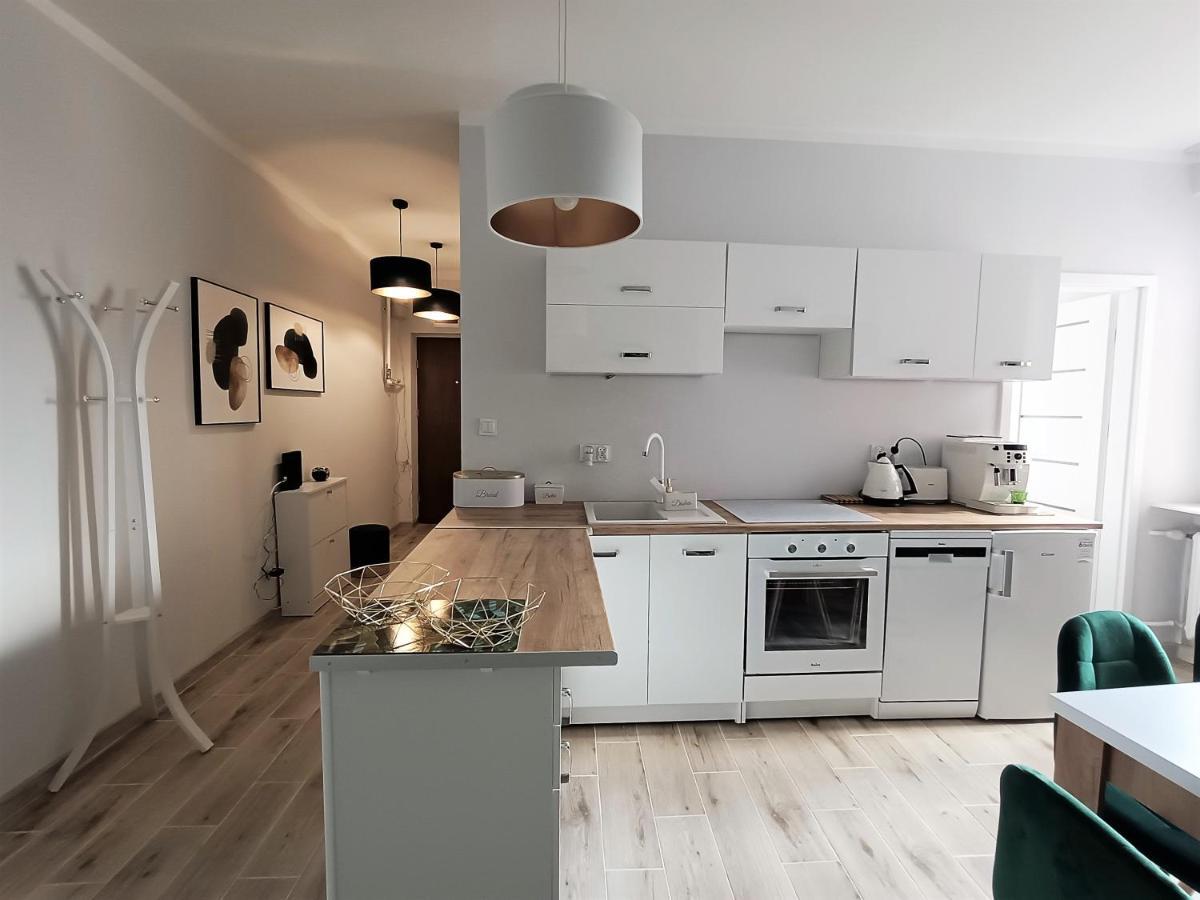 Szmaragdowy Apartament Przy Ulicy Opolskiej Тарновске Гори Екстериор снимка