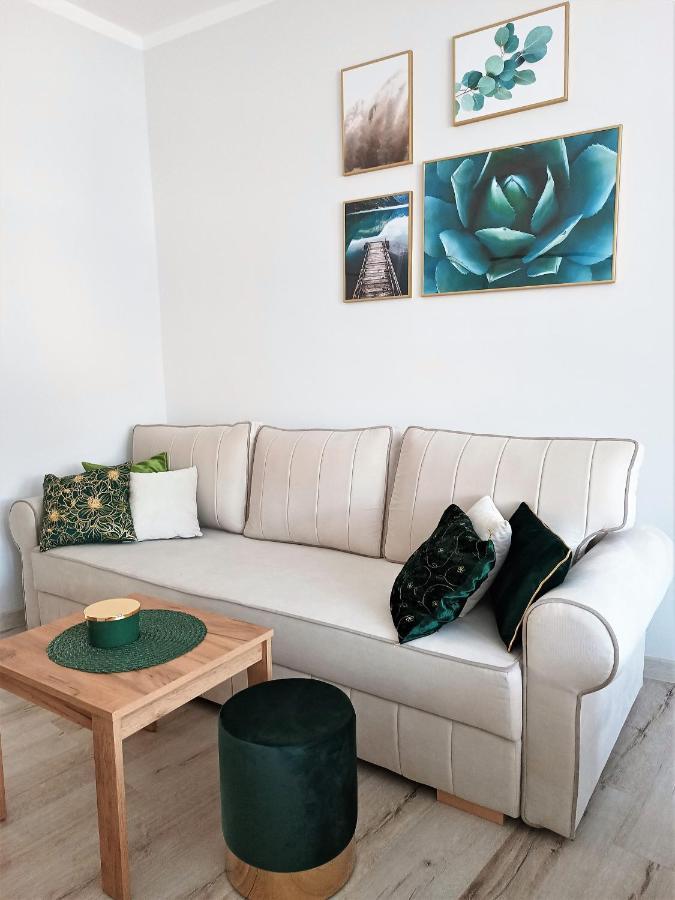 Szmaragdowy Apartament Przy Ulicy Opolskiej Тарновске Гори Екстериор снимка