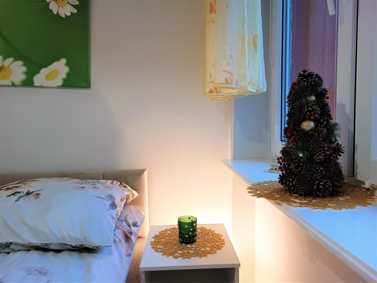Szmaragdowy Apartament Przy Ulicy Opolskiej Тарновске Гори Екстериор снимка