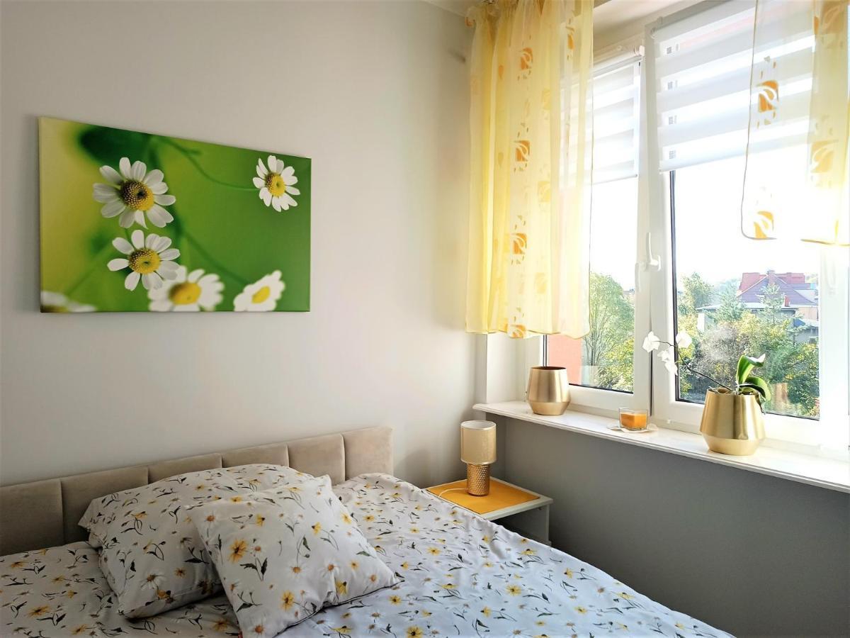 Szmaragdowy Apartament Przy Ulicy Opolskiej Тарновске Гори Екстериор снимка