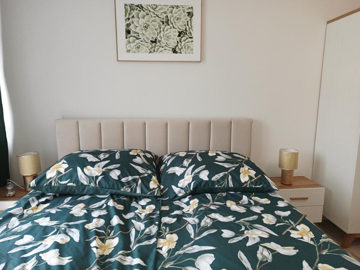 Szmaragdowy Apartament Przy Ulicy Opolskiej Тарновске Гори Екстериор снимка