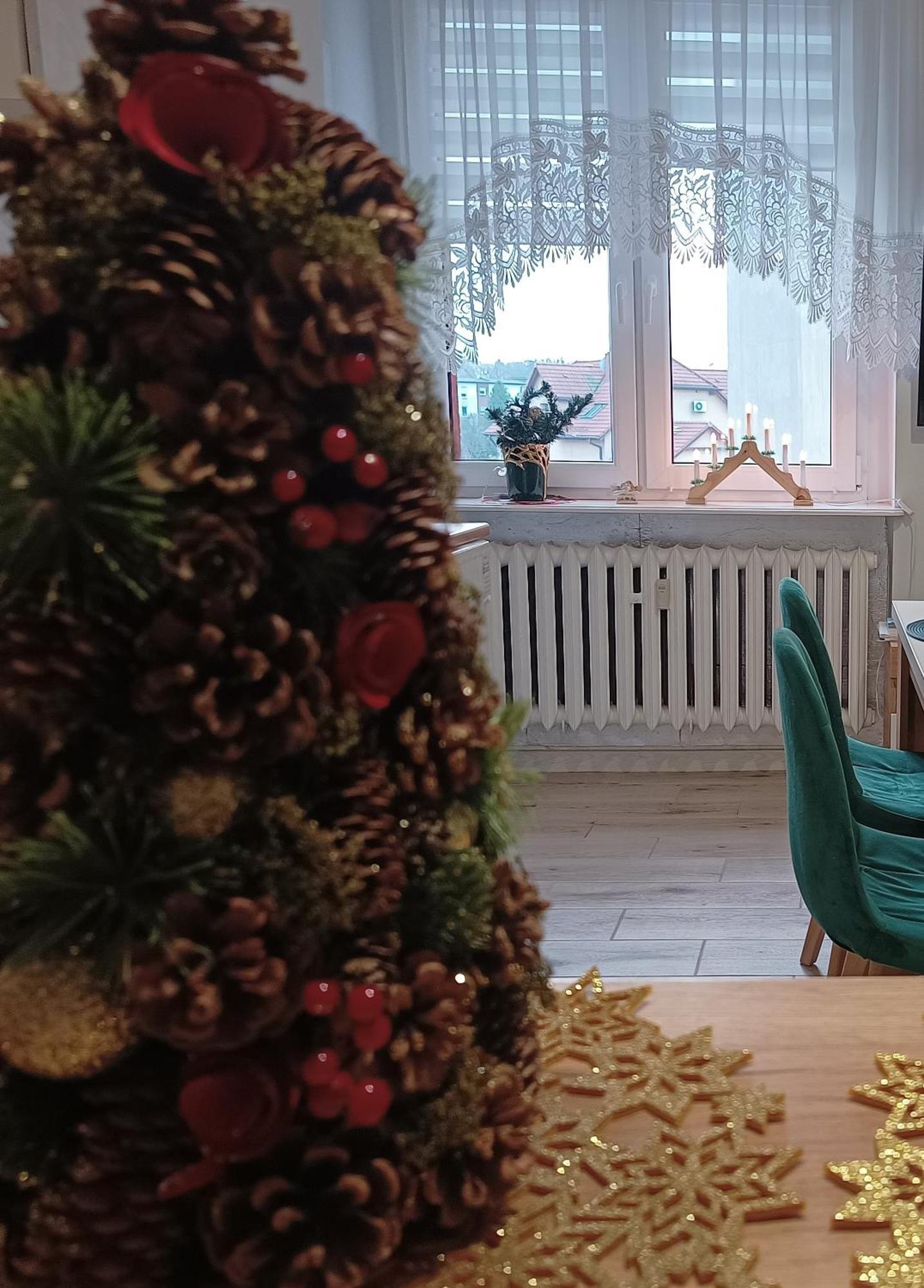 Szmaragdowy Apartament Przy Ulicy Opolskiej Тарновске Гори Екстериор снимка